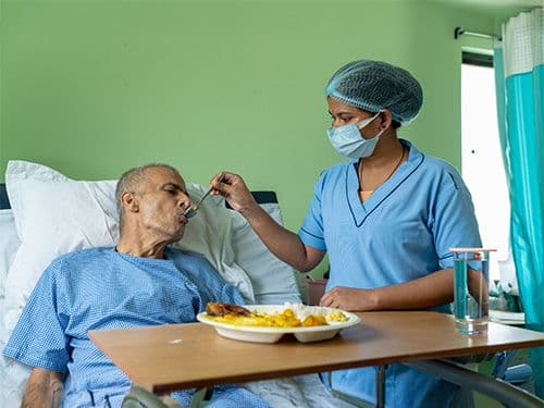  Dietitian-curated Nutritious meals